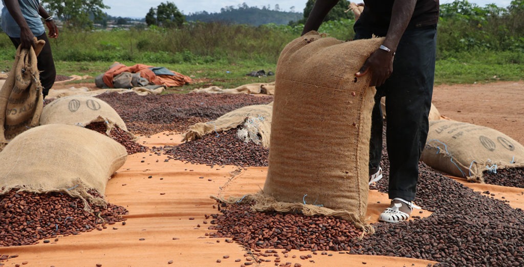 Une nouvelle étude fournit des preuves sur les communautés et les ménages du cacao